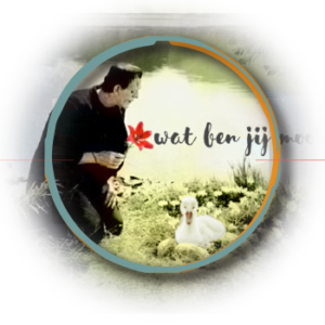 Widget-Visualising-1.png